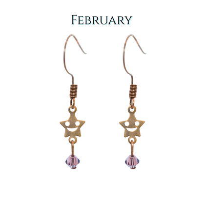 Star-shaped earrings with purple beads on a white background, labeled 'February'.