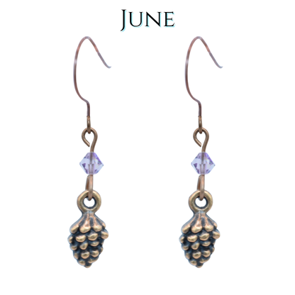 Pinecone-shaped earrings with light amethyst purple crystal beads on a white background, labeled 'June'.